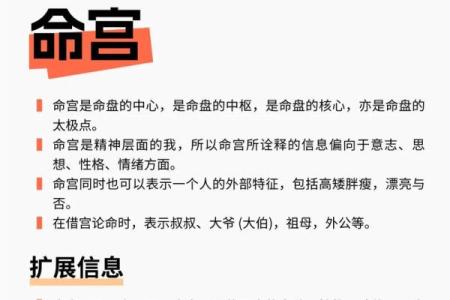 紫薇星斗命宫看长相