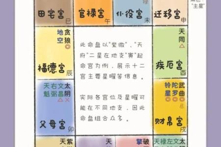 紫薇斗数怎么财运