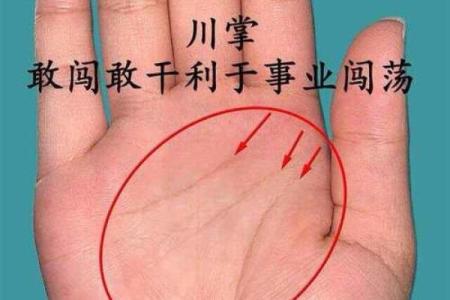 凯帝阿手相算命图解大全06
