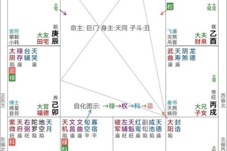 紫微斗数紫薇天府入命宫