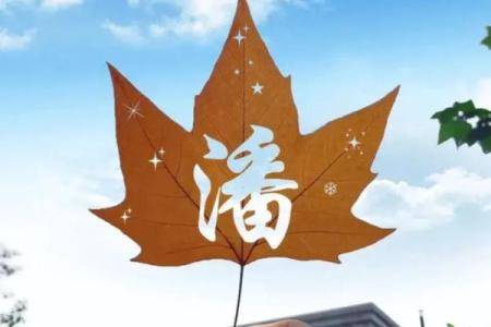 女孩姓潘叫什么名字好听,八字看下半年运势