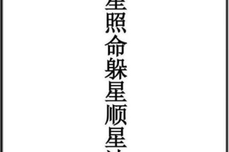 九星命理算命视频