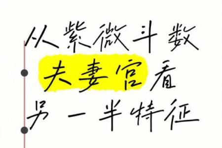 紫微斗数看配偶及恋爱婚姻之：刑克配偶的命