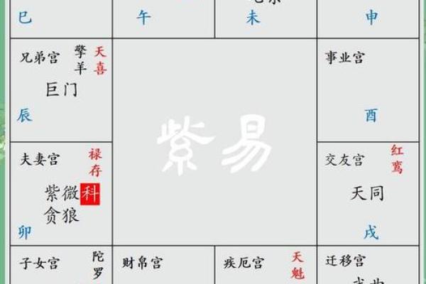 紫薇斗数迁移宫贪狼