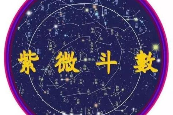 紫薇斗数迁移宫贪狼