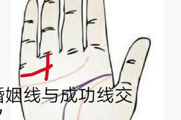 看手相算命：第四课 论事业命运