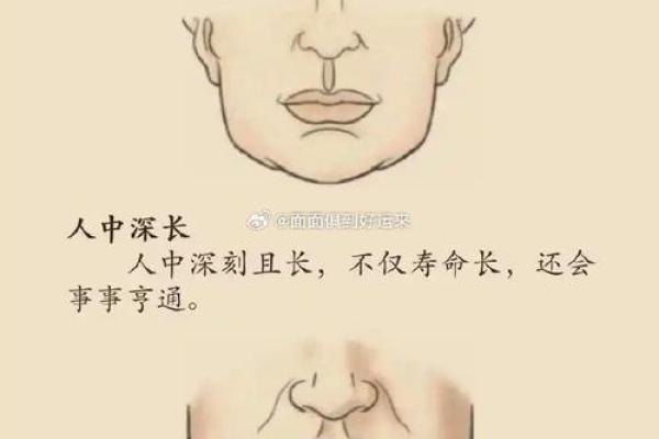 八字眉的女人是寡妇之相命吗