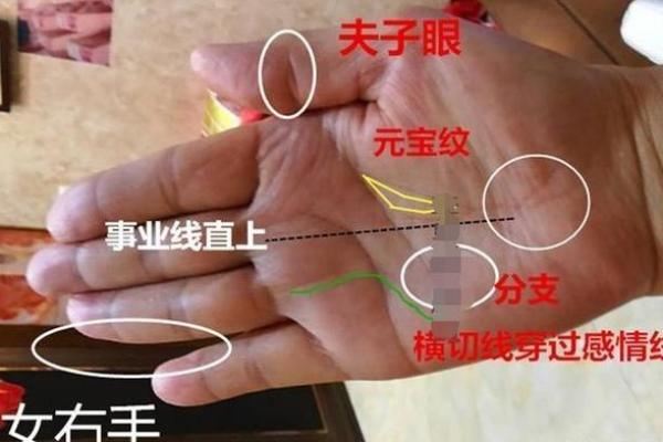 小指算命，小指的长度看你的性格和命运