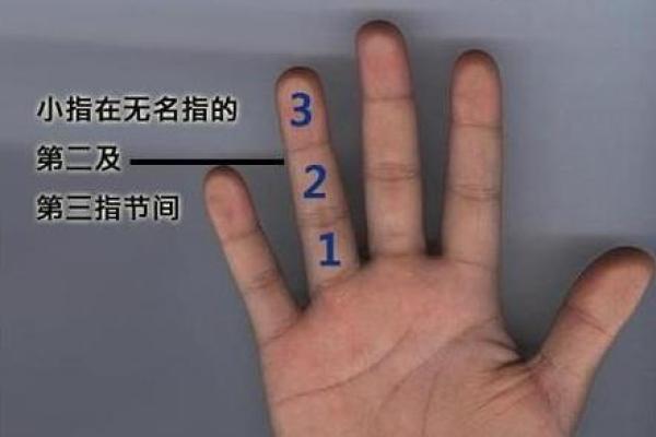 小指算命，小指的长度看你的性格和命运