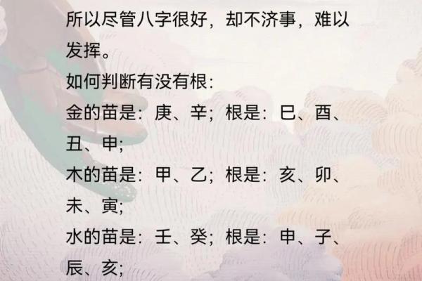 八字寅是什么意思,寅在八字中代表什么