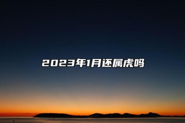 虎年八字