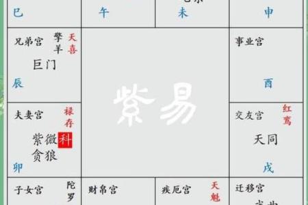 紫薇斗数迁移宫贪狼