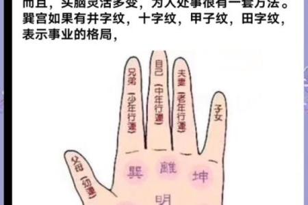看手相算命：第四课 论事业命运