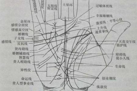 看男人手相算命图解 中指长的会富贵