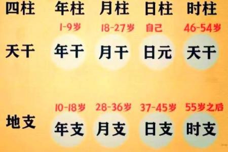 纹生辰八字