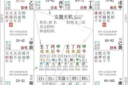 中州紫薇斗数实例