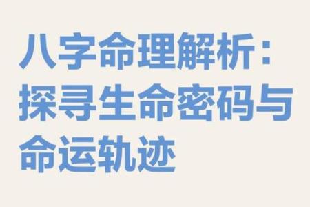 【颐八字】雕琢命运轮廓，释放个人潜能的智慧秘诀