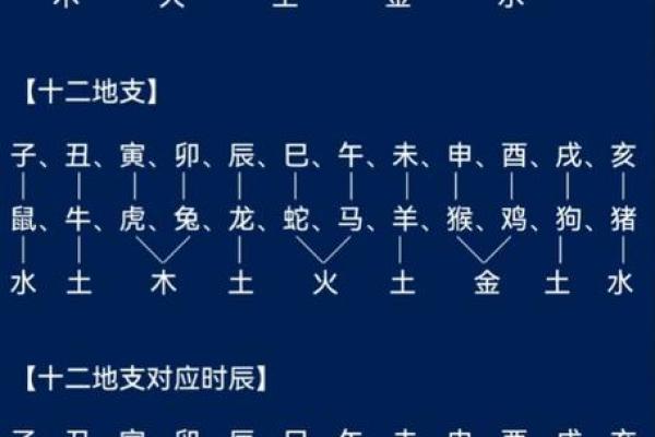 命中八字