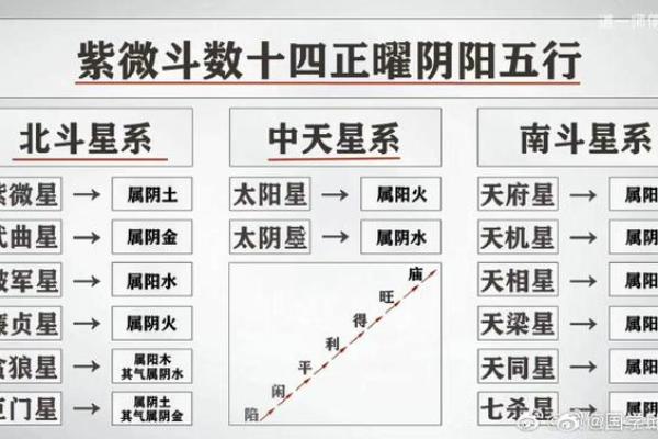 紫微斗数终极 紫微斗数解释？