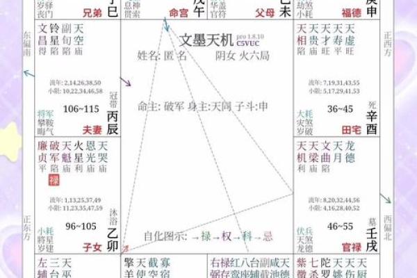紫微斗数怎样看什么人工作上带发展前景