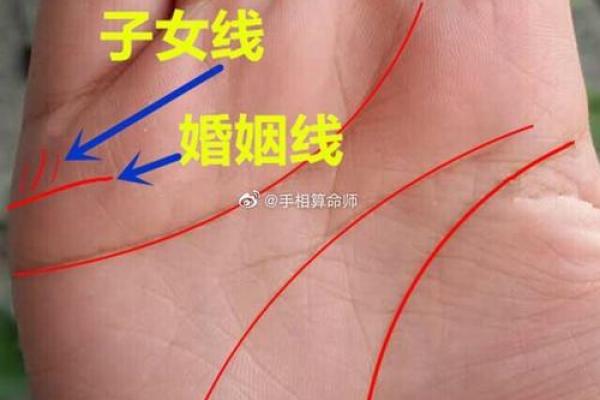 算命说你有三个子女