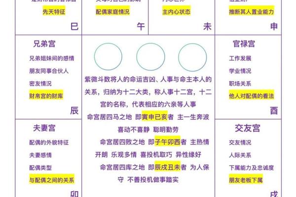 紫微斗数诸星落诸宫之：兄弟宫