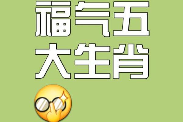 属猪的八字