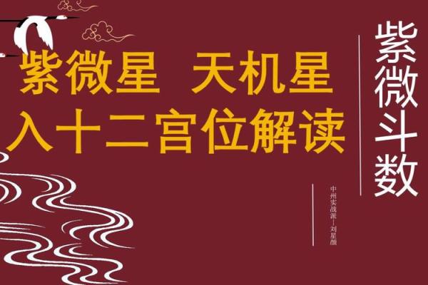紫微斗数：天机星