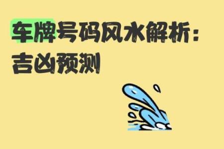 车牌吉凶测试,12生肖怎么选车牌