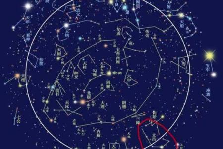 八字带文昌星的人好吗？一定是个聪明人