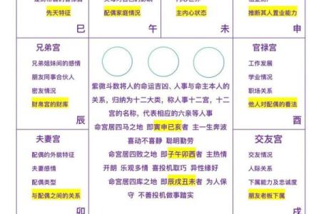 紫微斗数诸星落诸宫之：兄弟宫