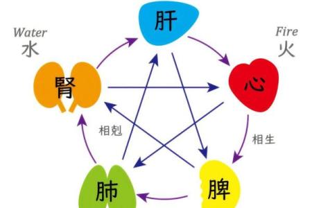 八字与城市