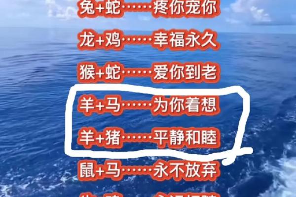 在线八字合婚：女属猪男属马的夫妻长久吗