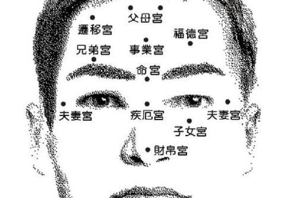 面相在线测试,在线扫一扫测面相