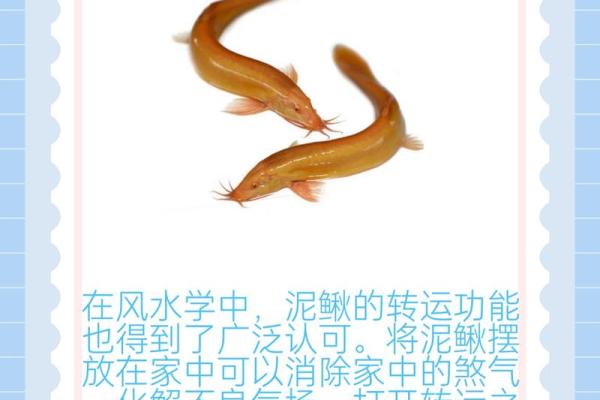 风水到底能给我们带来什么好处