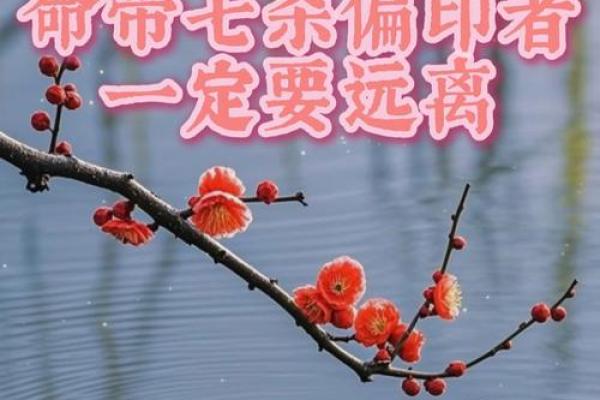 风水解读女命带七杀好不好是好事吗