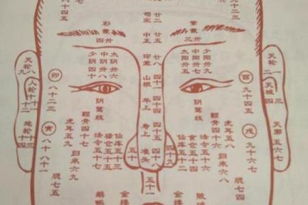 面相在线测试,在线扫一扫测面相