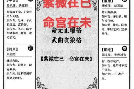 babyvv紫薇斗数吧