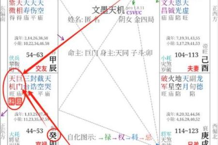 紫薇斗数子女宫巨门陷