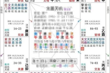 紫薇斗数分析推演的主要内容