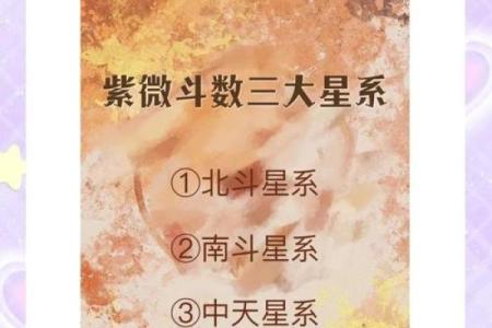 紫薇斗数应用