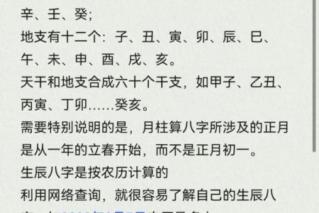 生辰八字样子