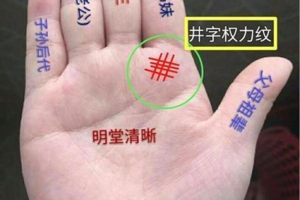 4个斗的男人是什么命 手指斗的数量代表什么命