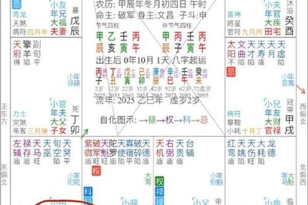 紫薇斗数流年年父