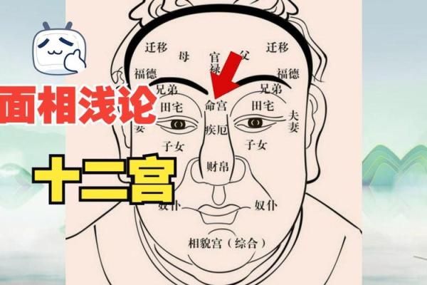 面相算命图解十二宫之：田宅宫