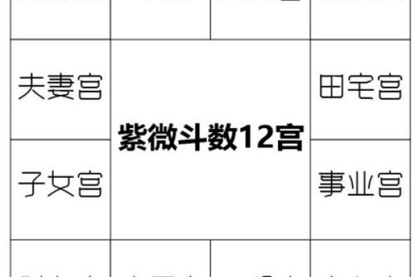 紫薇斗数看配偶姓名