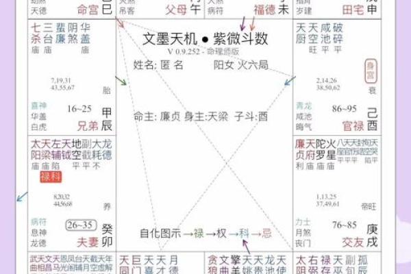 紫薇斗数定盘软件