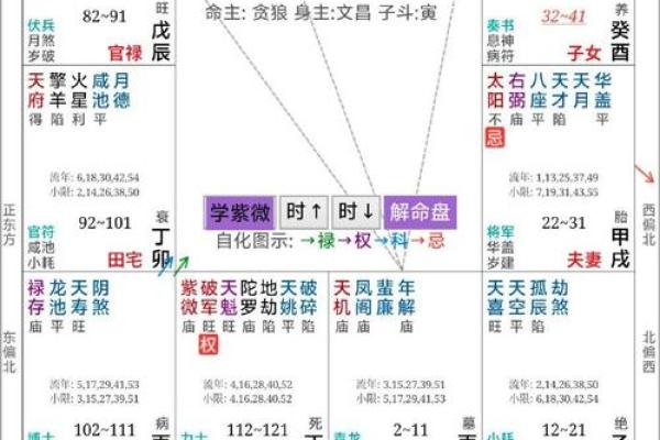 紫微斗数夫妻宫在亥无主星 加桃花主配偶有艺术才能