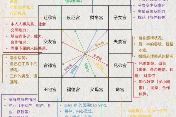 紫薇斗数怎么算命