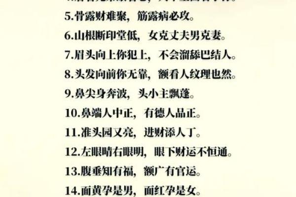 面相风水_更好看的风水小说